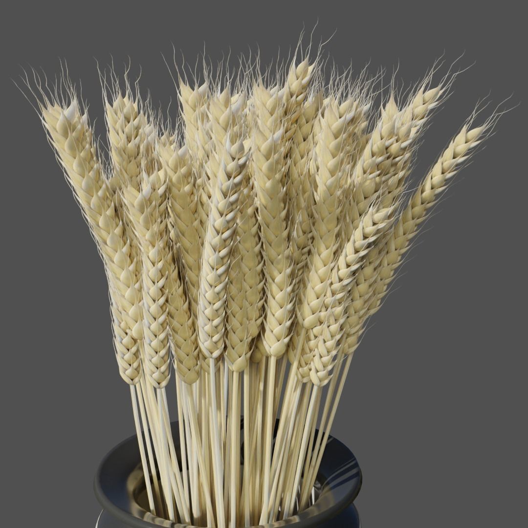 Dried wheat in vase 3D model_1