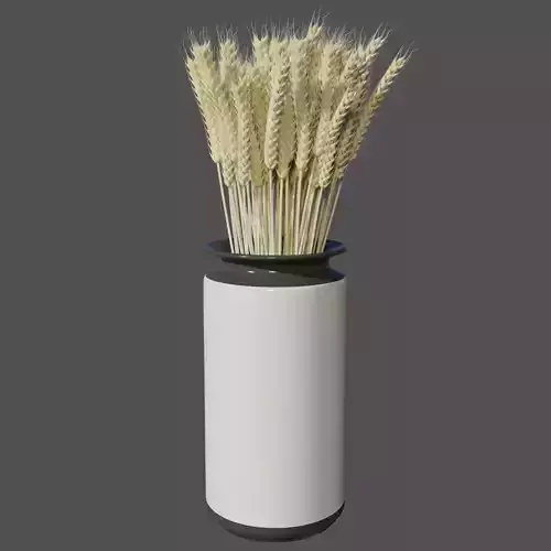 Dried wheat in vase