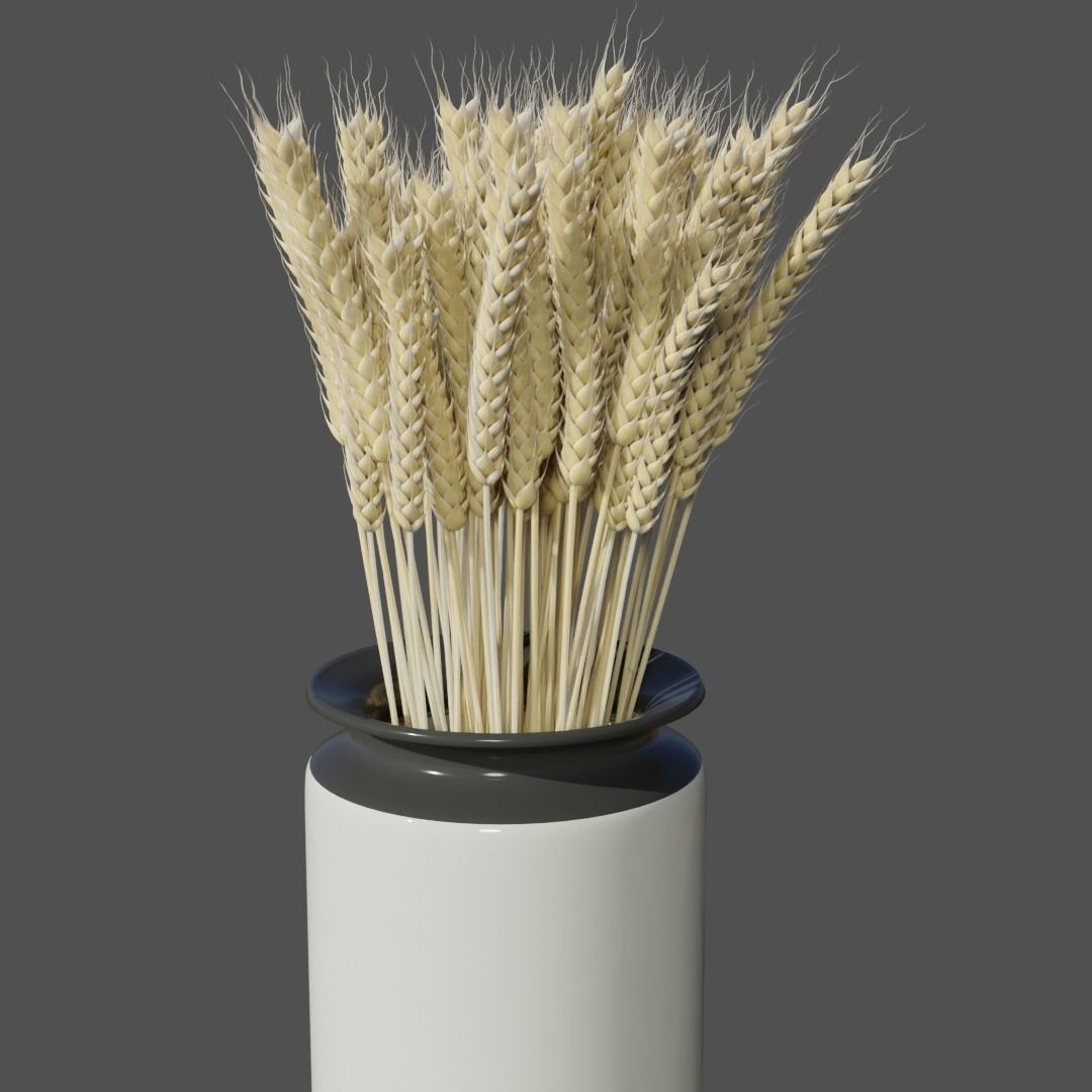 Dried wheat in vase 3D model_2