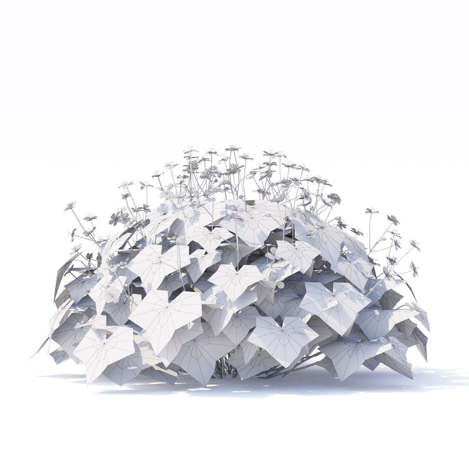 Geranium macrorrhizum flower 3D model_4