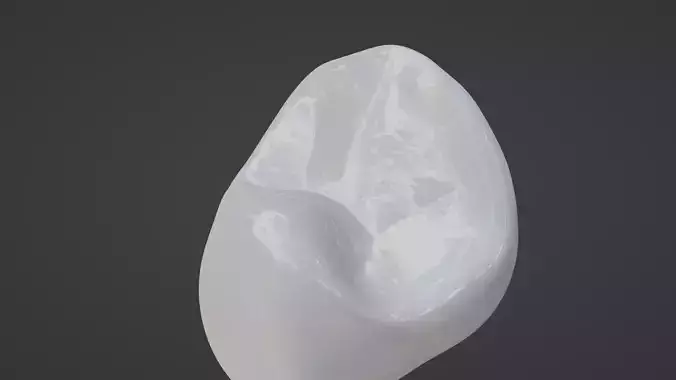 Maxillary First Premolar Human Tooth 3D model