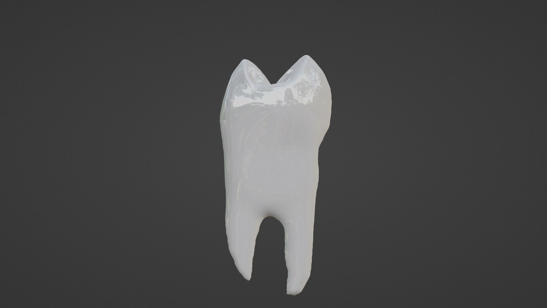 Maxillary First Premolar Human Tooth 3D model_3