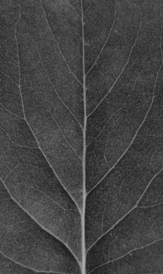 table dining with chairs 3D model_6