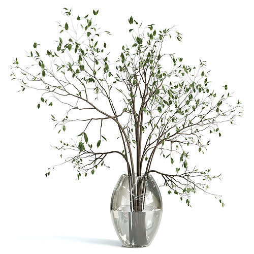 Branches plant with GLASS vase white 3D model