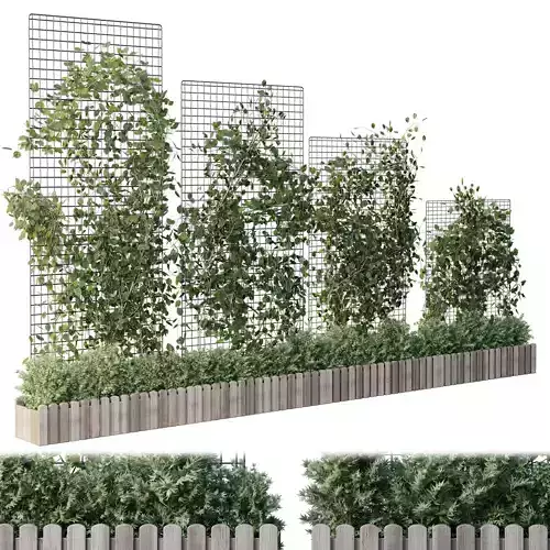The plant on the grid 4 models and sizes with wooden box 3D model