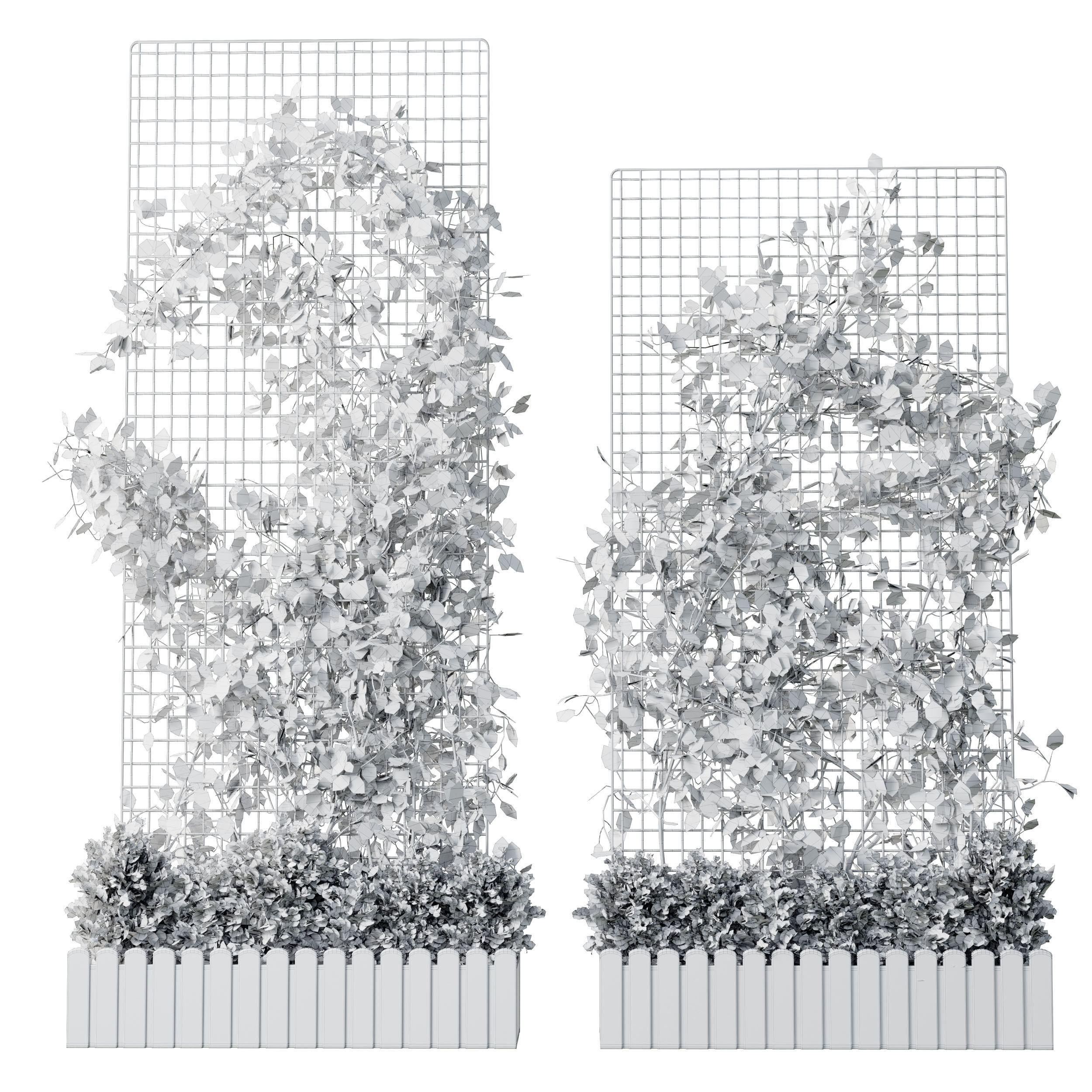 The plant on the grid 4 models and sizes with wooden box 3D model_3