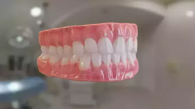 Teeth  Low-poly 3D model