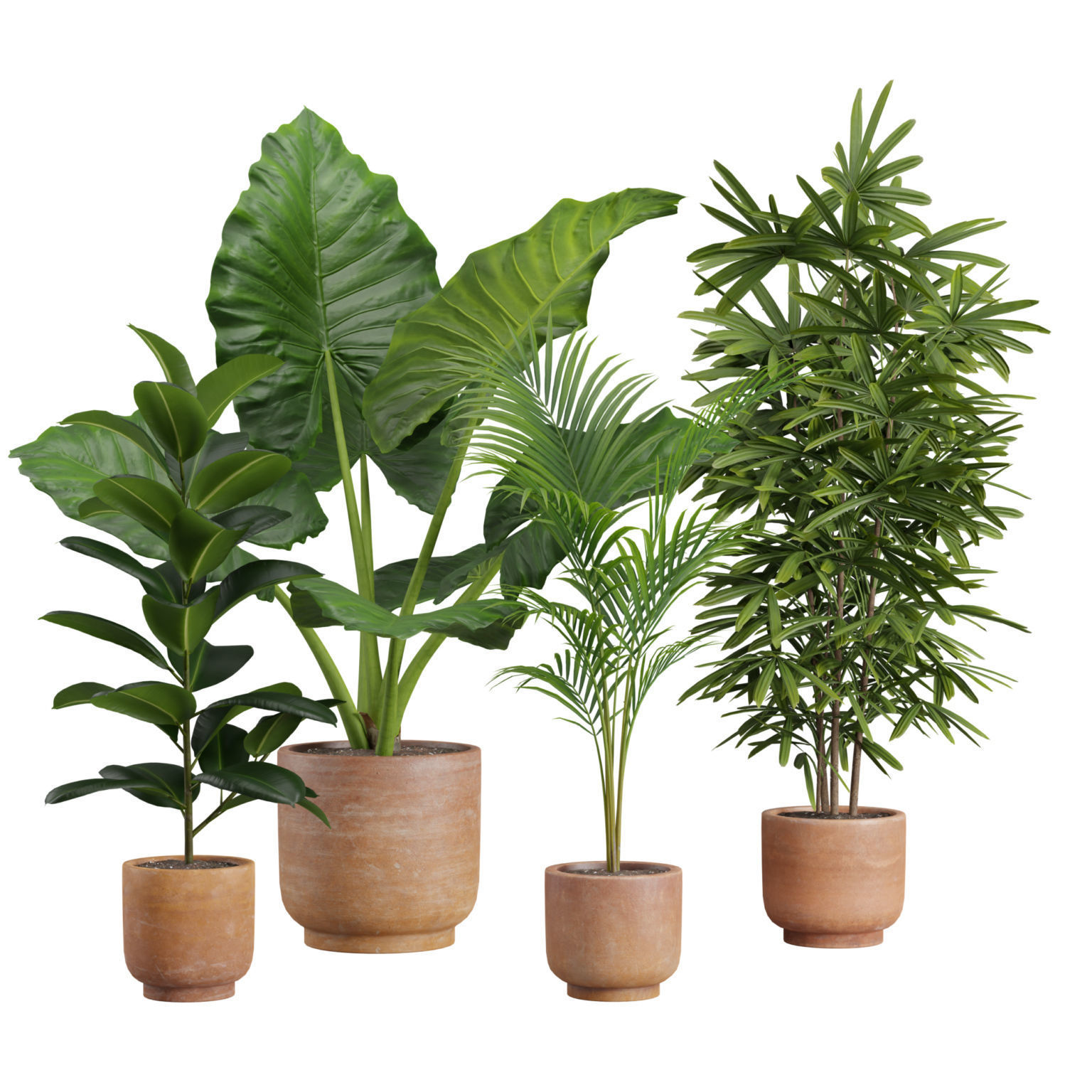 Indoor Plants Pack 26 3D model_1