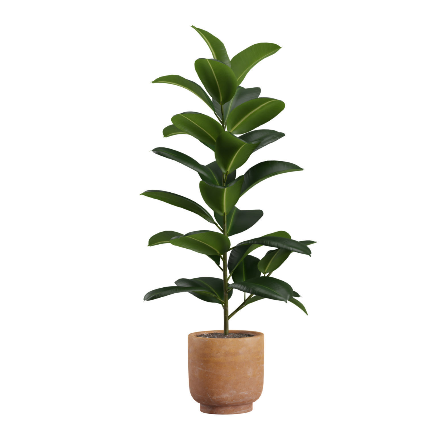 Indoor Plants Pack 26 3D model_5