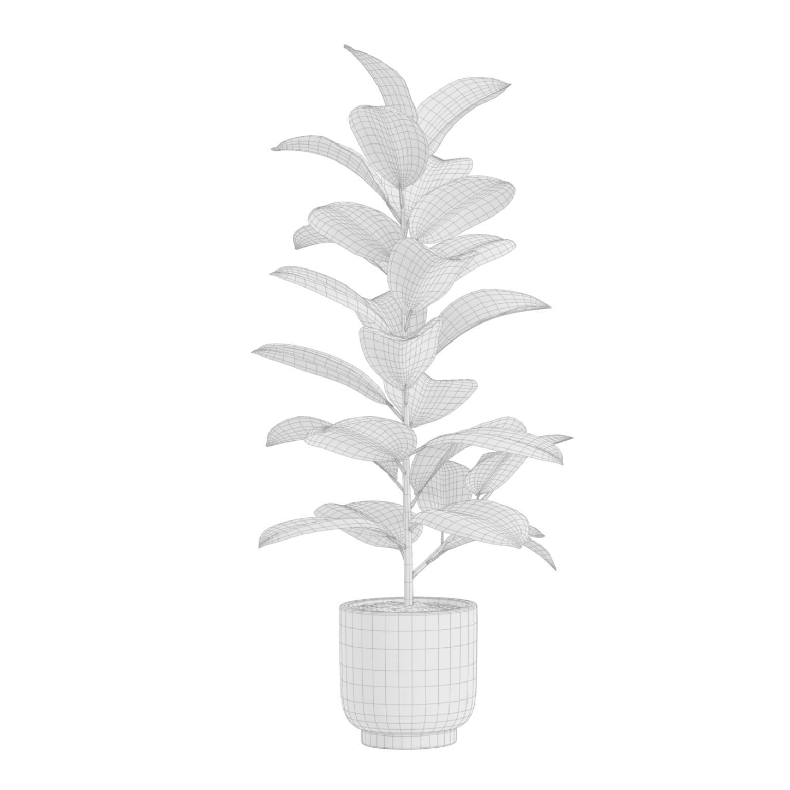 Indoor Plants Pack 26 3D model_6