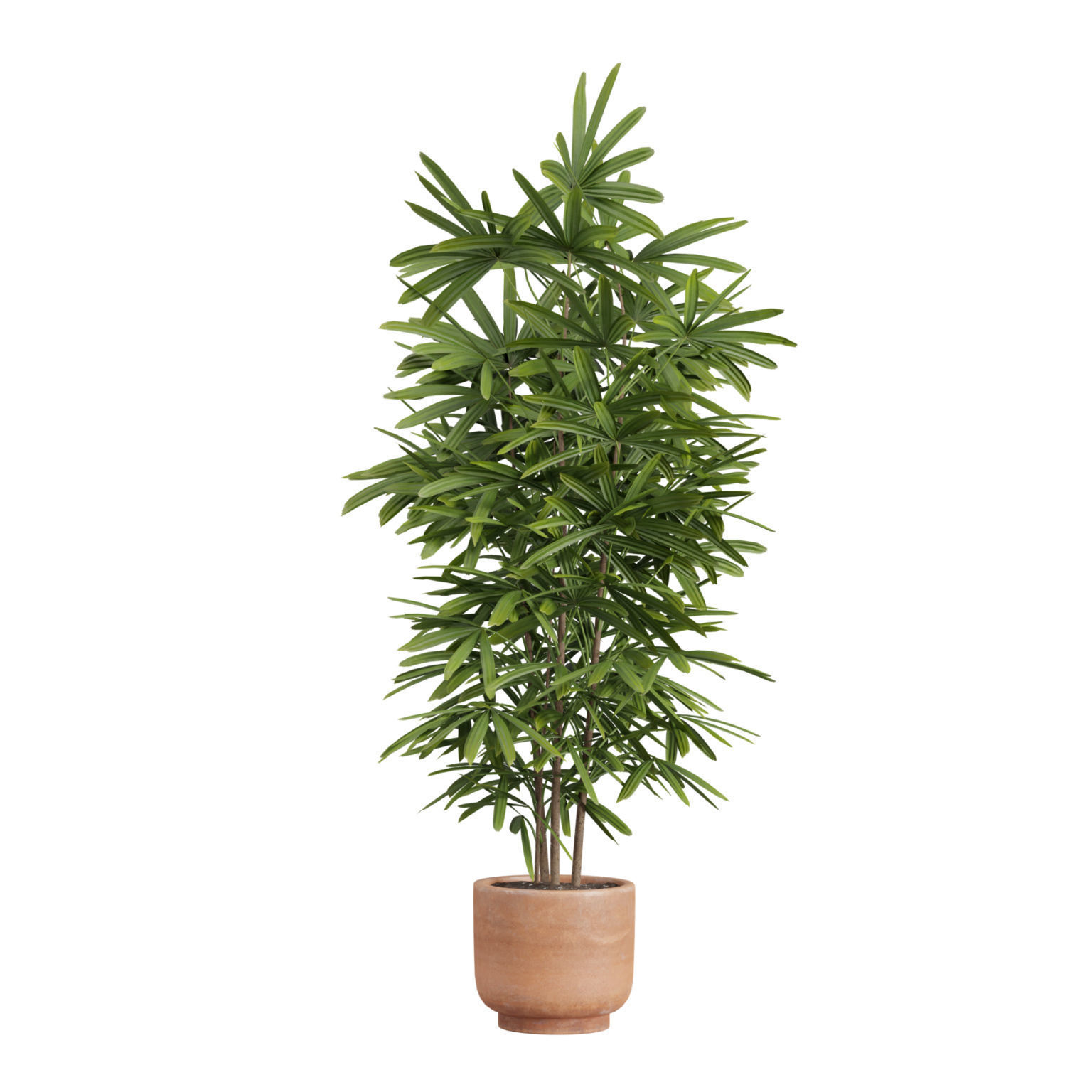Indoor Plants Pack 26 3D model_9