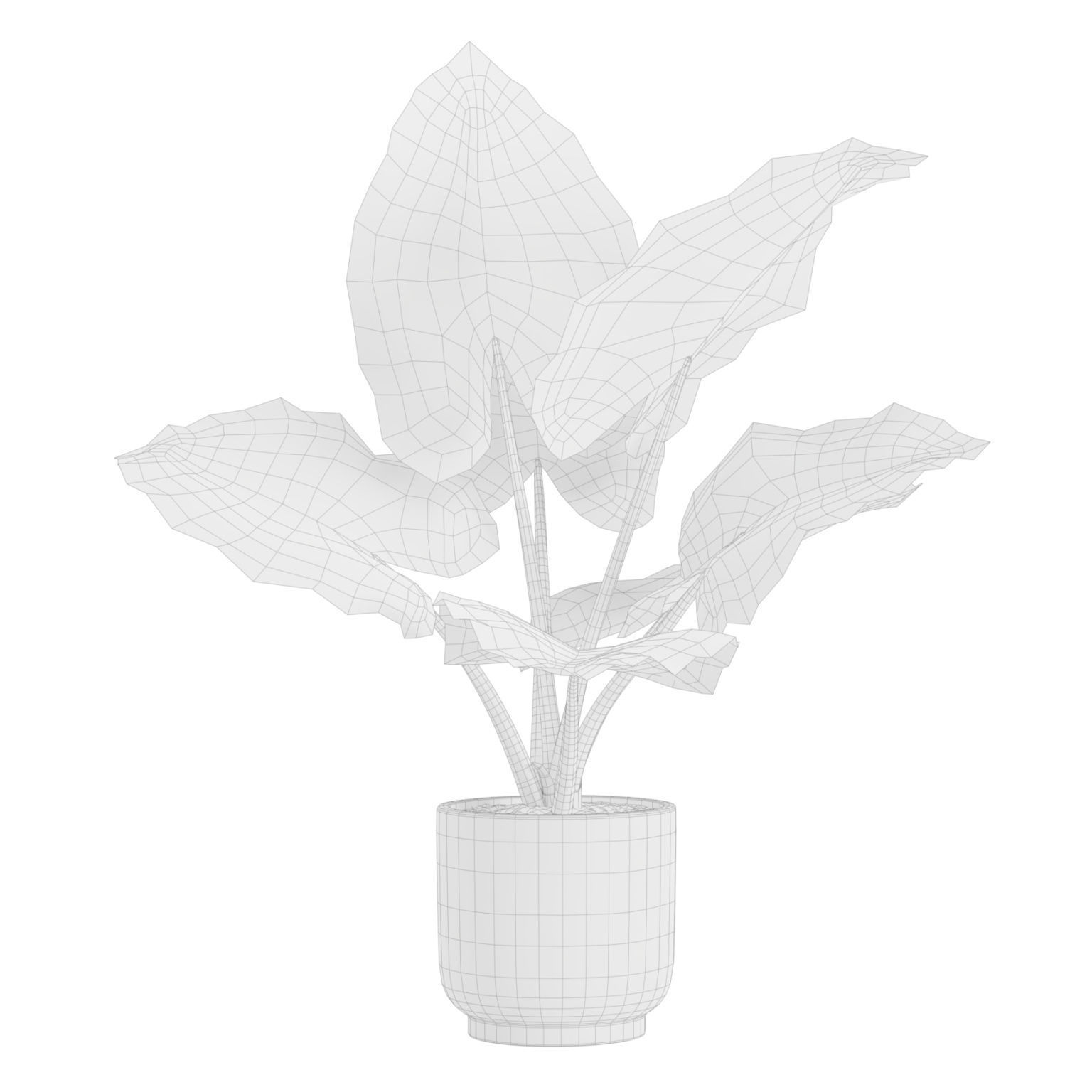 Indoor Plants Pack 26 3D model_4