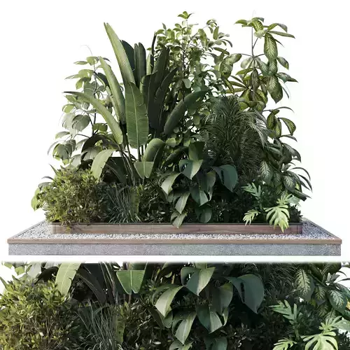 Outdoor plant Collection Wooden box for plant garden