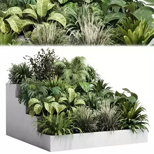  plant  stairs concrete vase pot fern bush grass