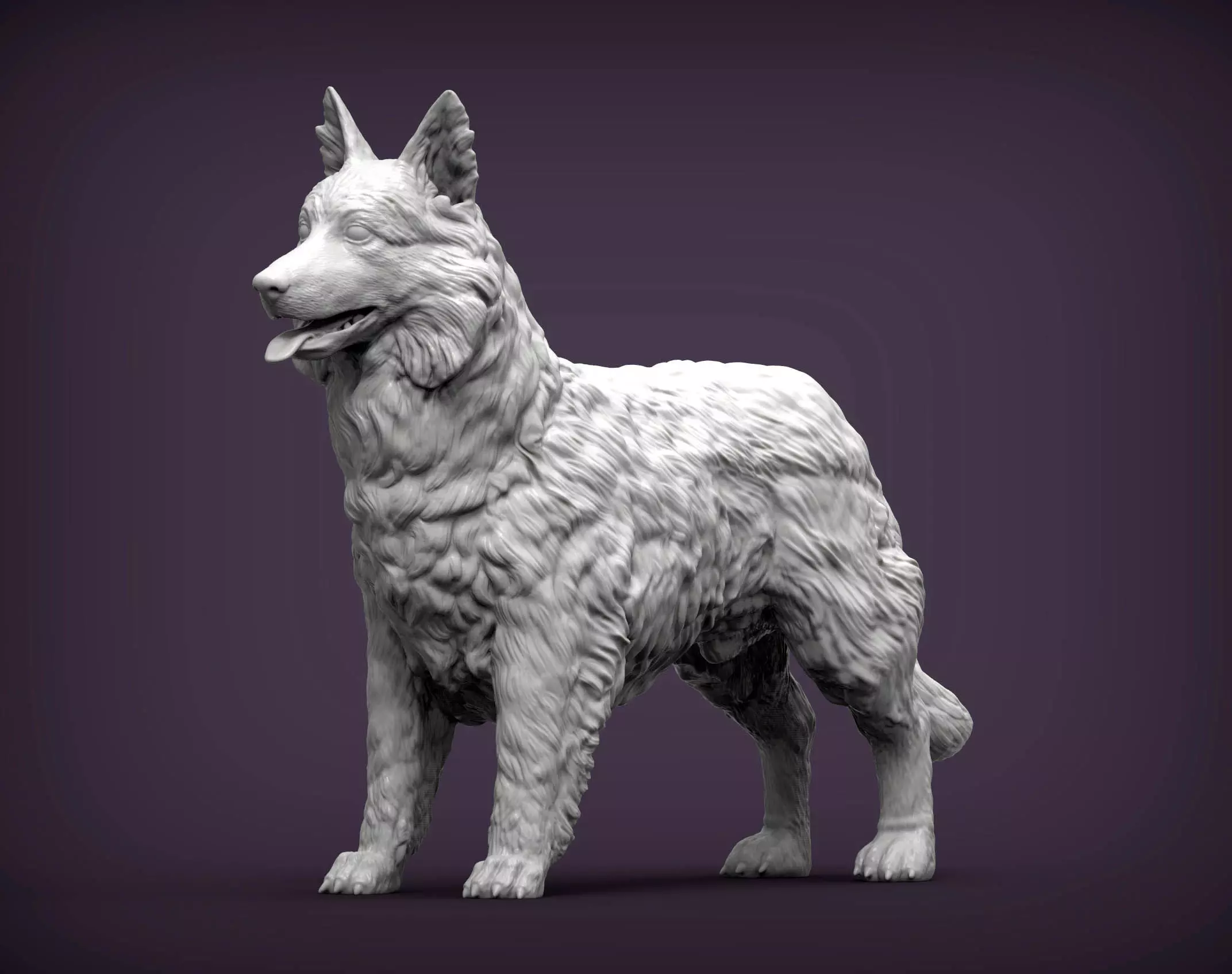 Border Collie 3D print model