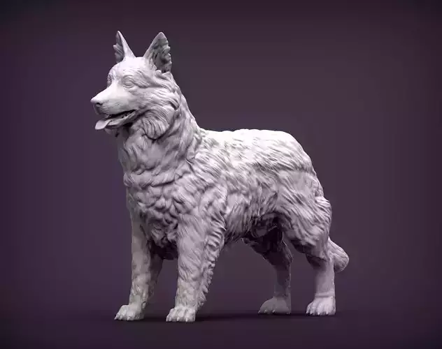 Border Collie 3D print model