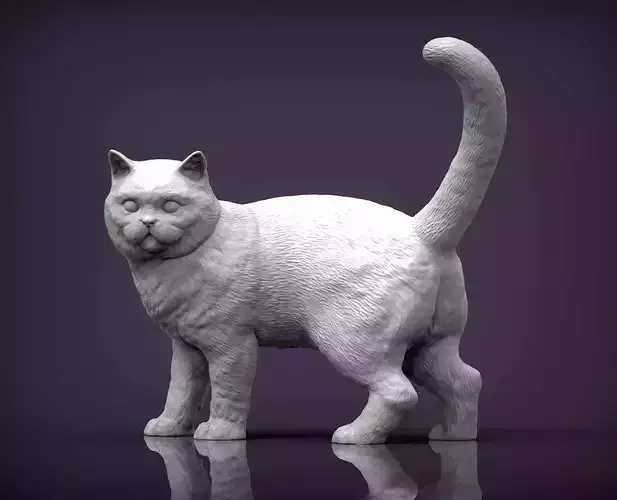 british shorthair cat  3D print model