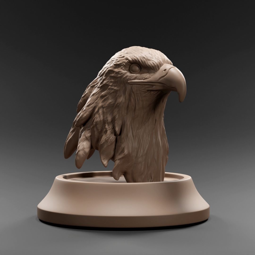 Eagle bust 3D print model_2