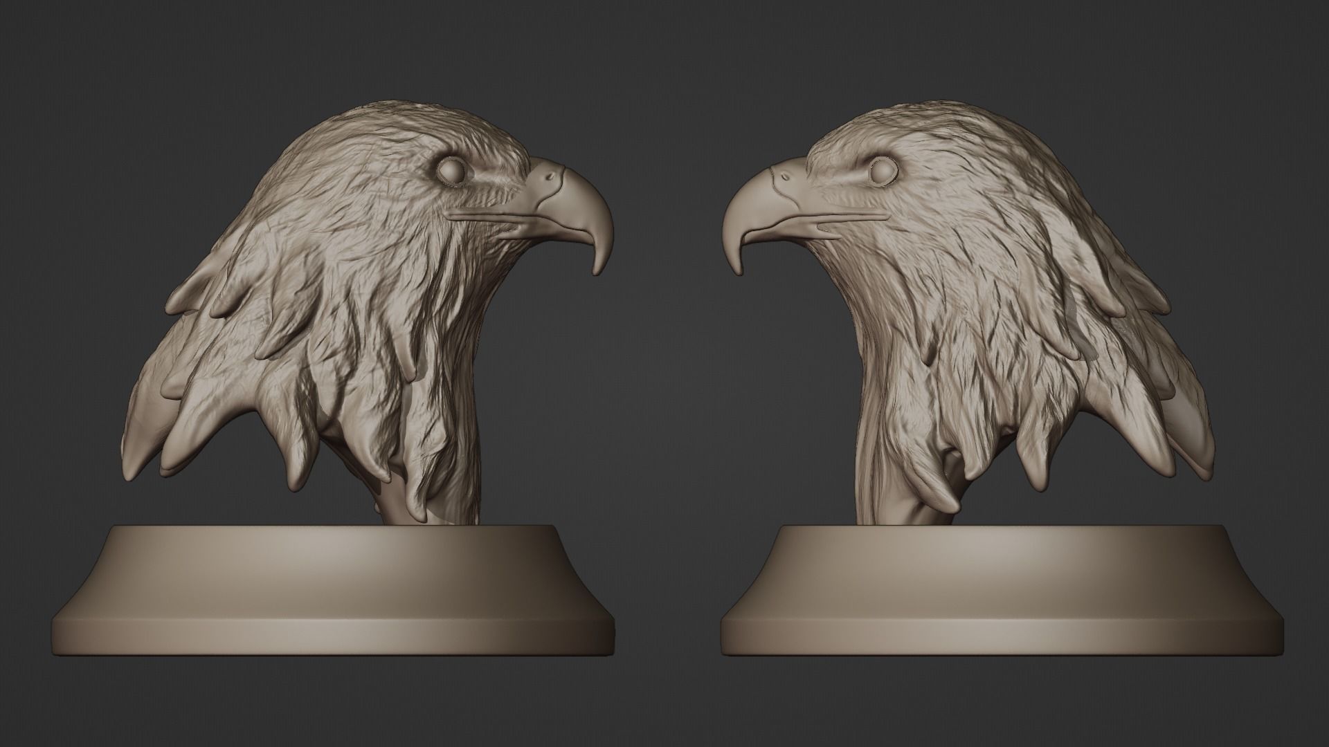 Eagle bust 3D print model_5