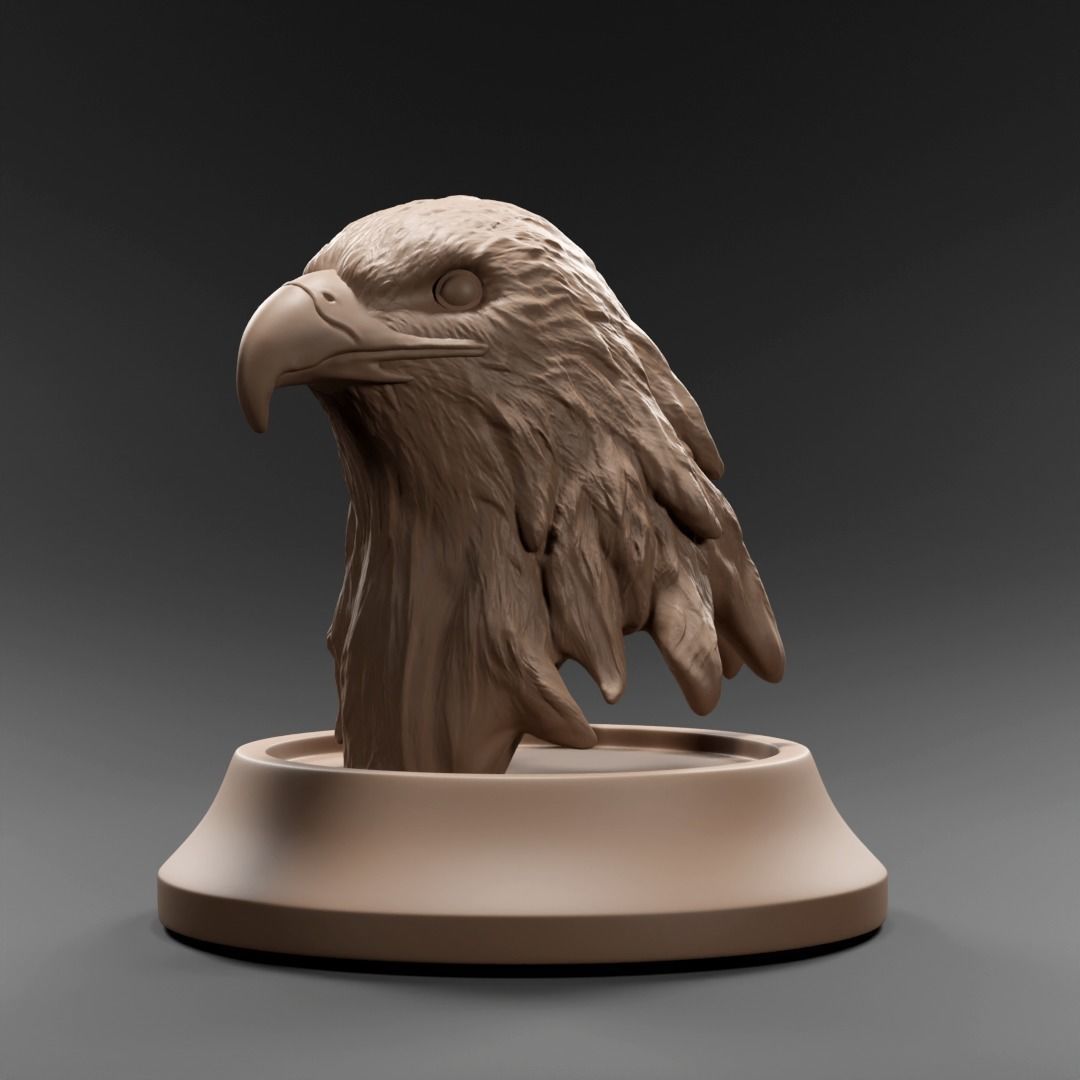 Eagle bust 3D print model_3