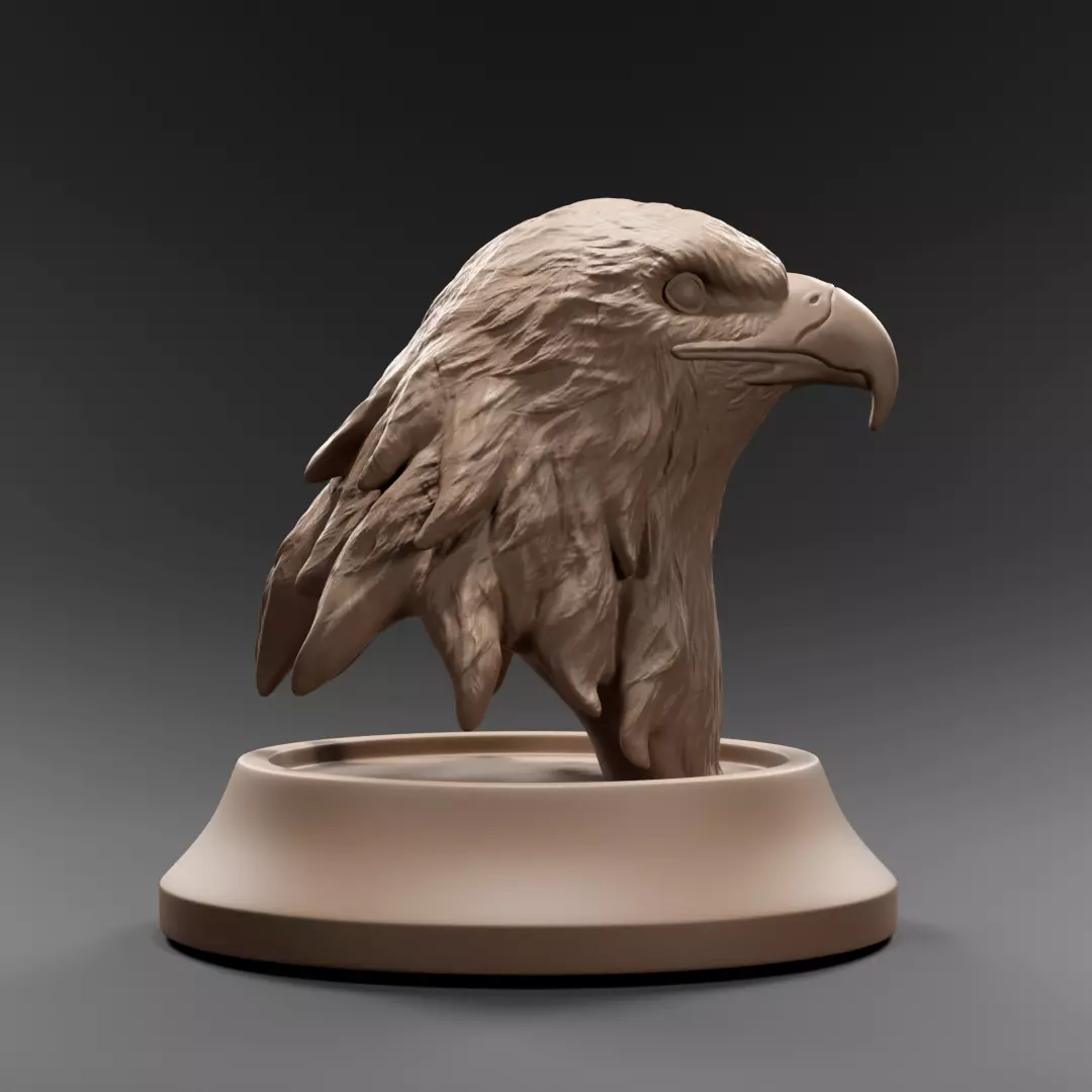 Eagle bust 3D print model_0