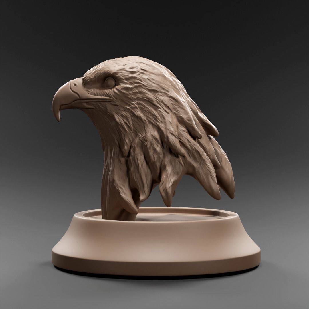Eagle bust 3D print model_1