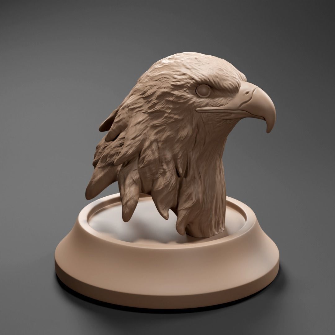 Eagle bust 3D print model_4