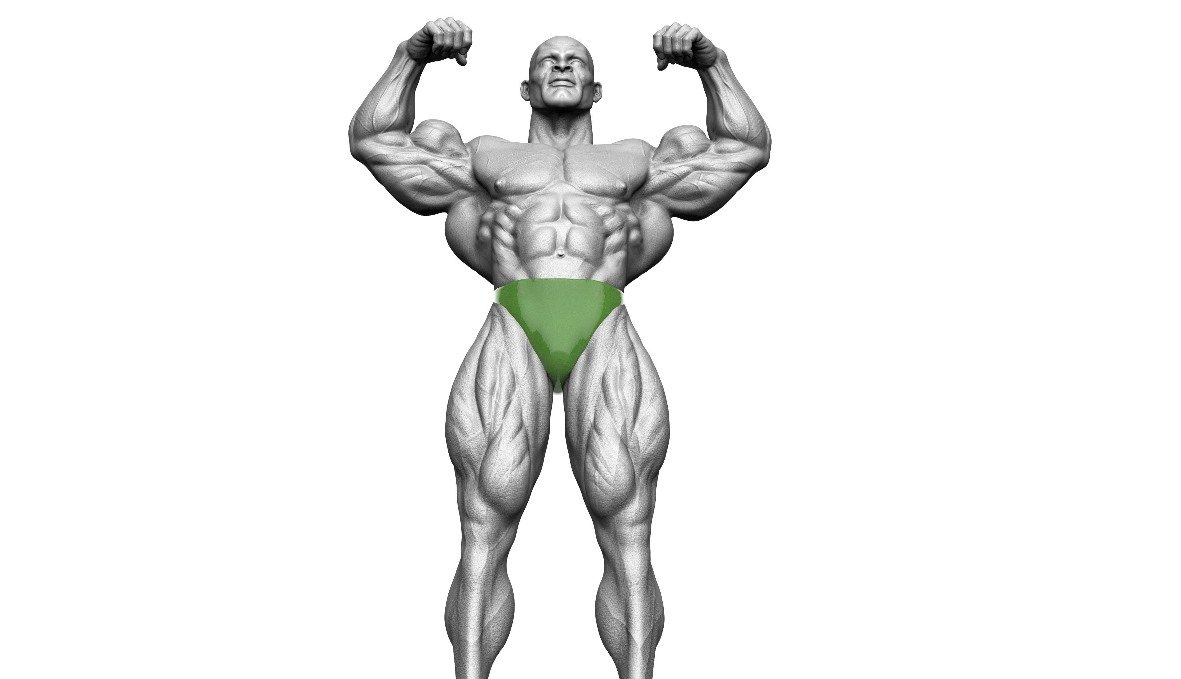 Ronnie Coleman Tribute Statue 3D print model 3D print model_15