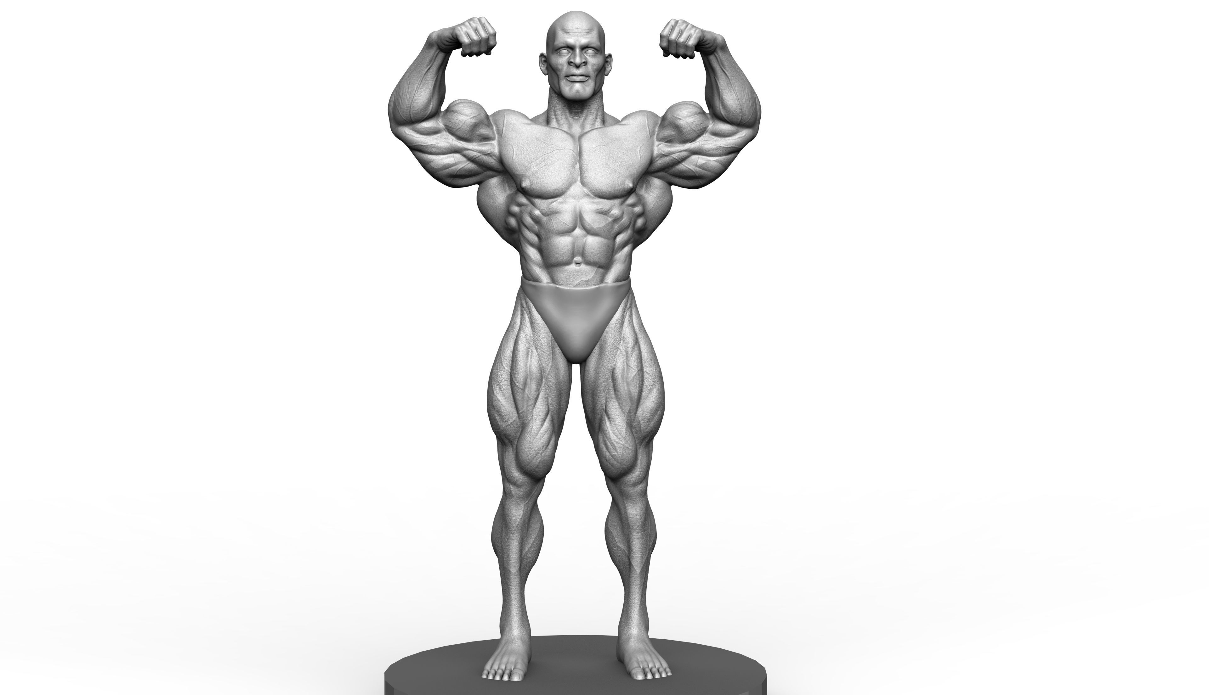 Ronnie Coleman Tribute Statue 3D print model 3D print model_8