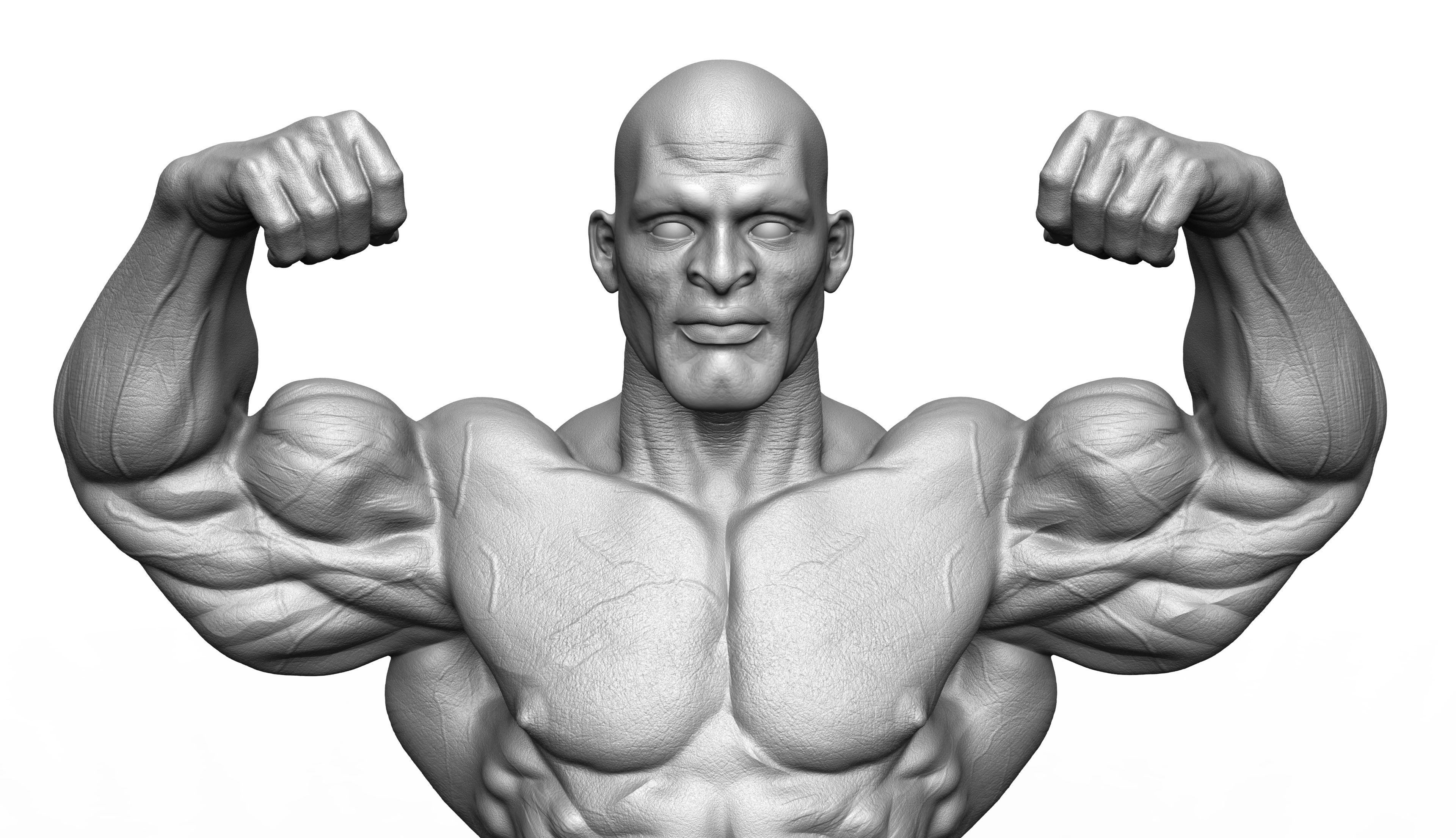 Ronnie Coleman Tribute Statue 3D print model 3D print model_6