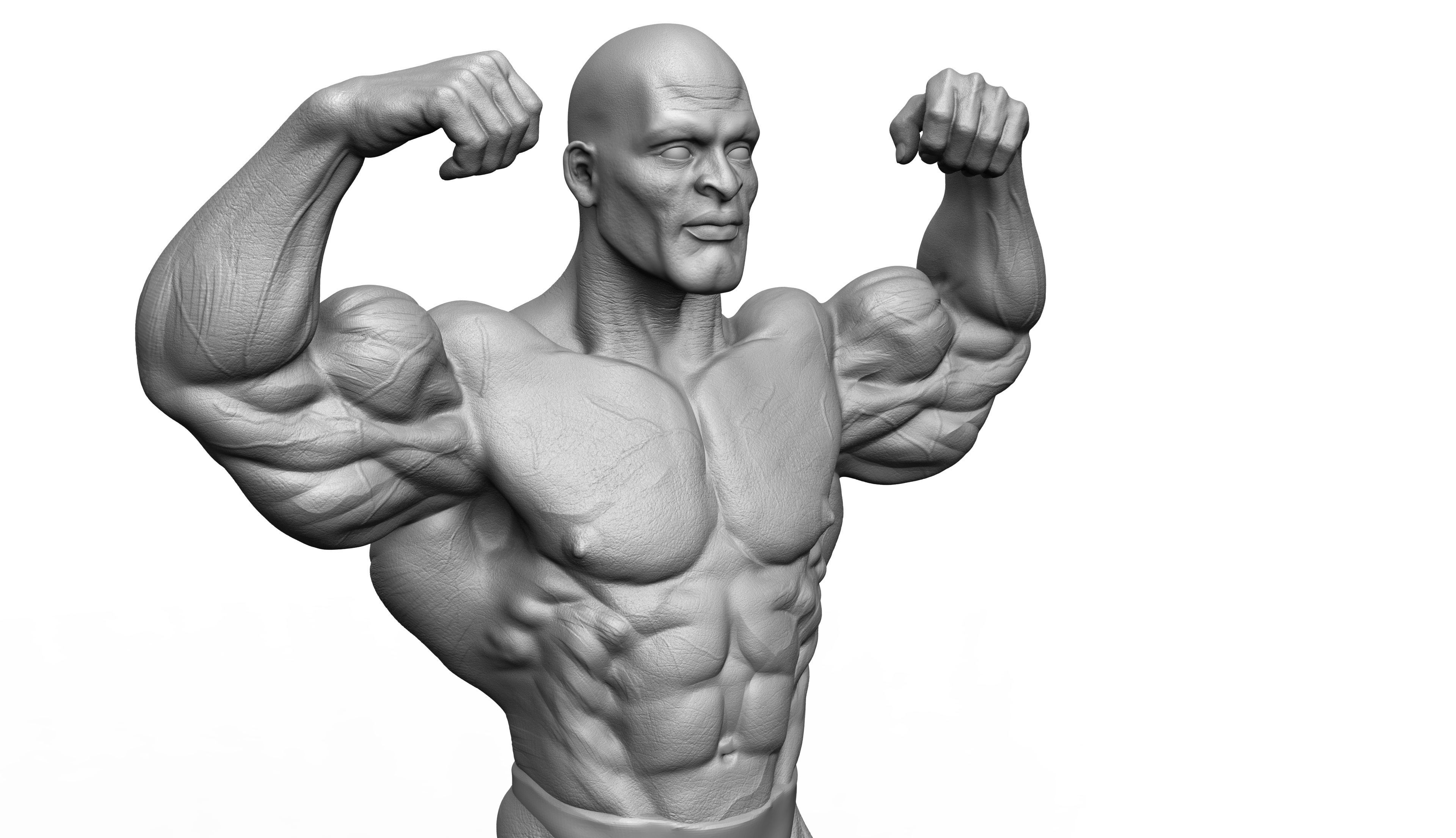 Ronnie Coleman Tribute Statue 3D print model 3D print model_3