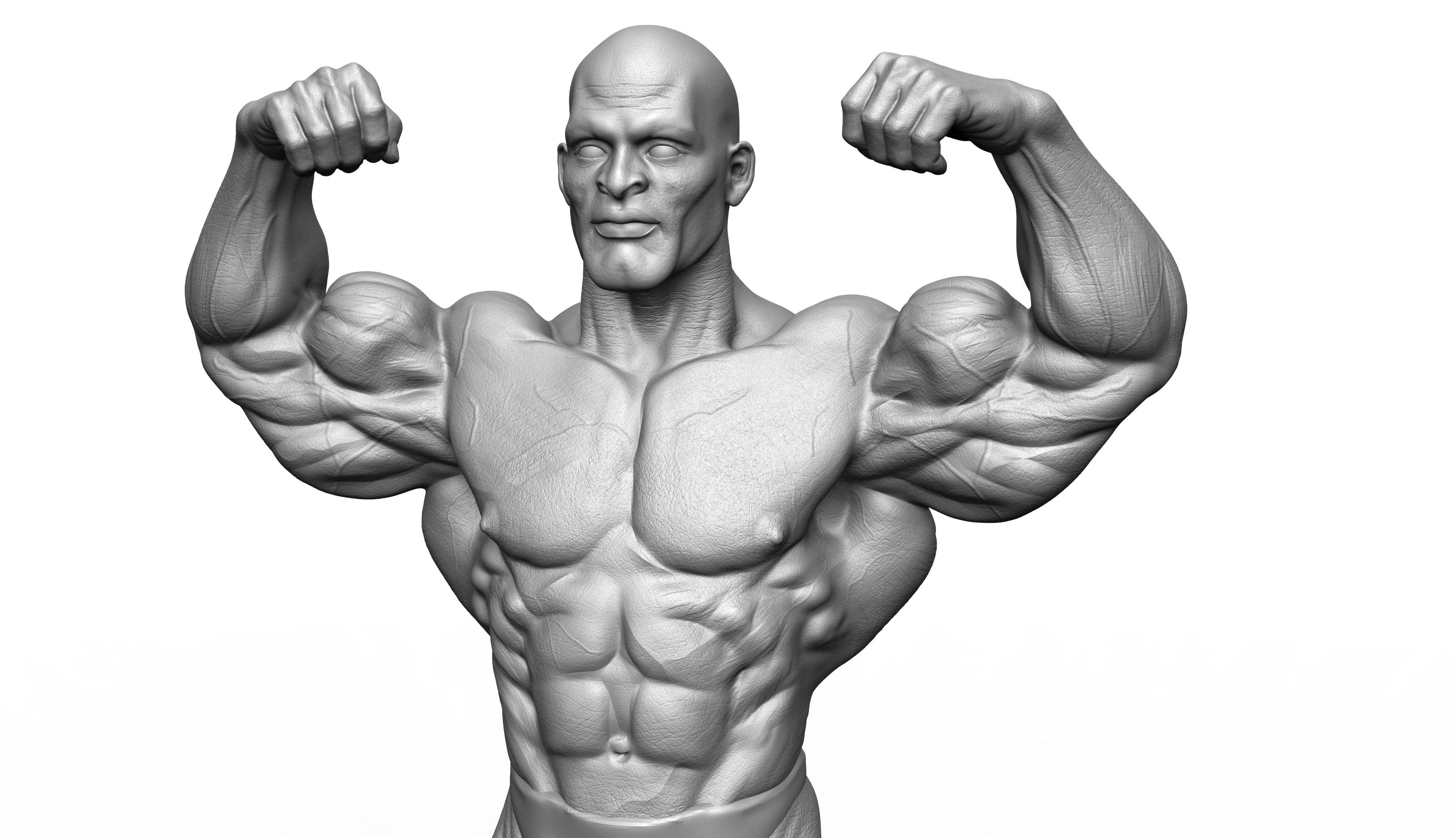 Ronnie Coleman Tribute Statue 3D print model 3D print model_4