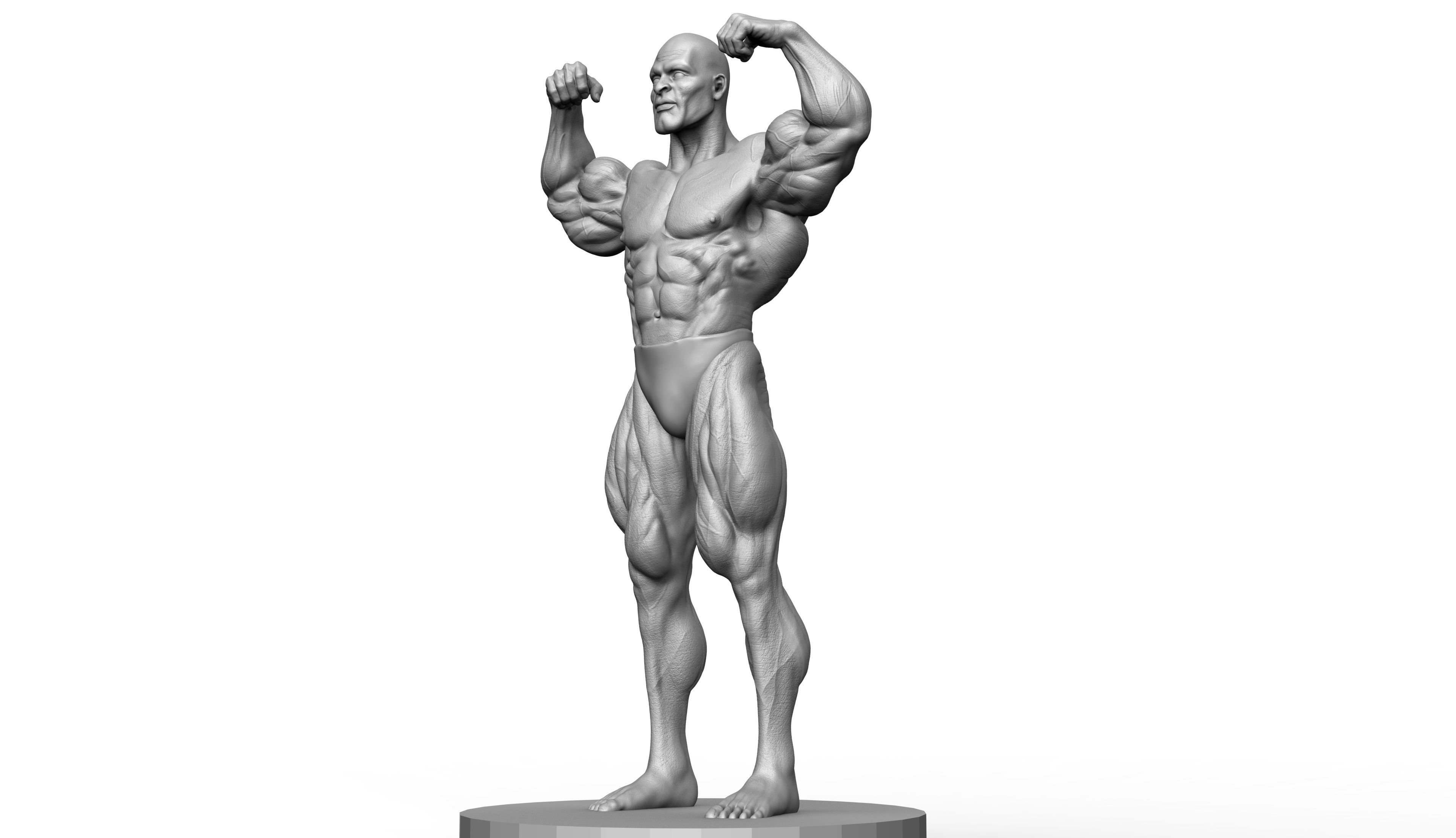 Ronnie Coleman Tribute Statue 3D print model 3D print model_11