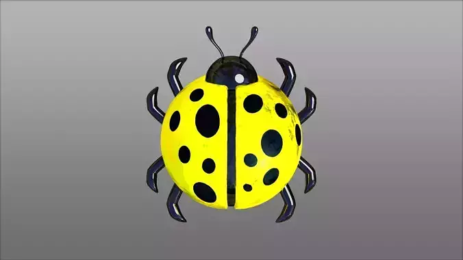 Yellow ladybug
