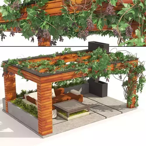 Grape Vine Pergola with furniture 3D model