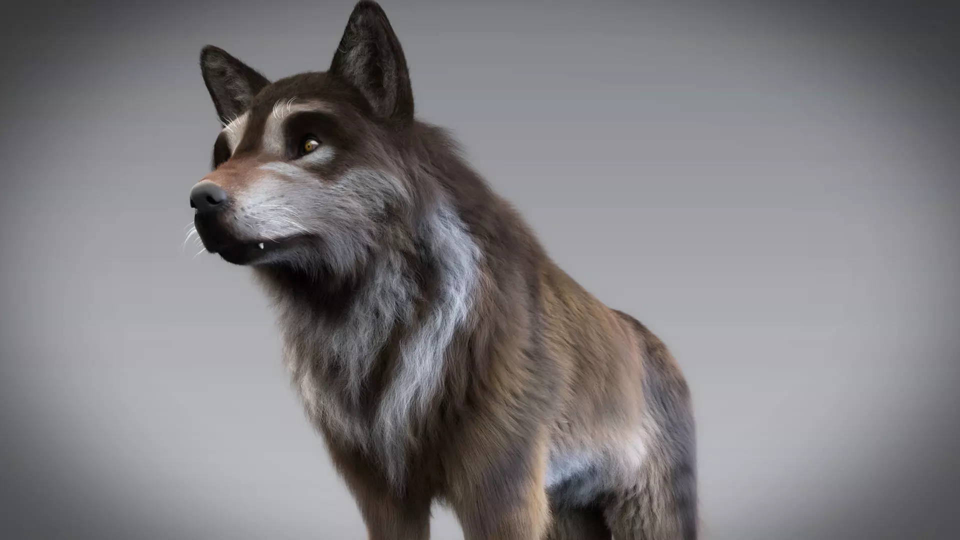 Wolf 3D European Wolf 3D model
