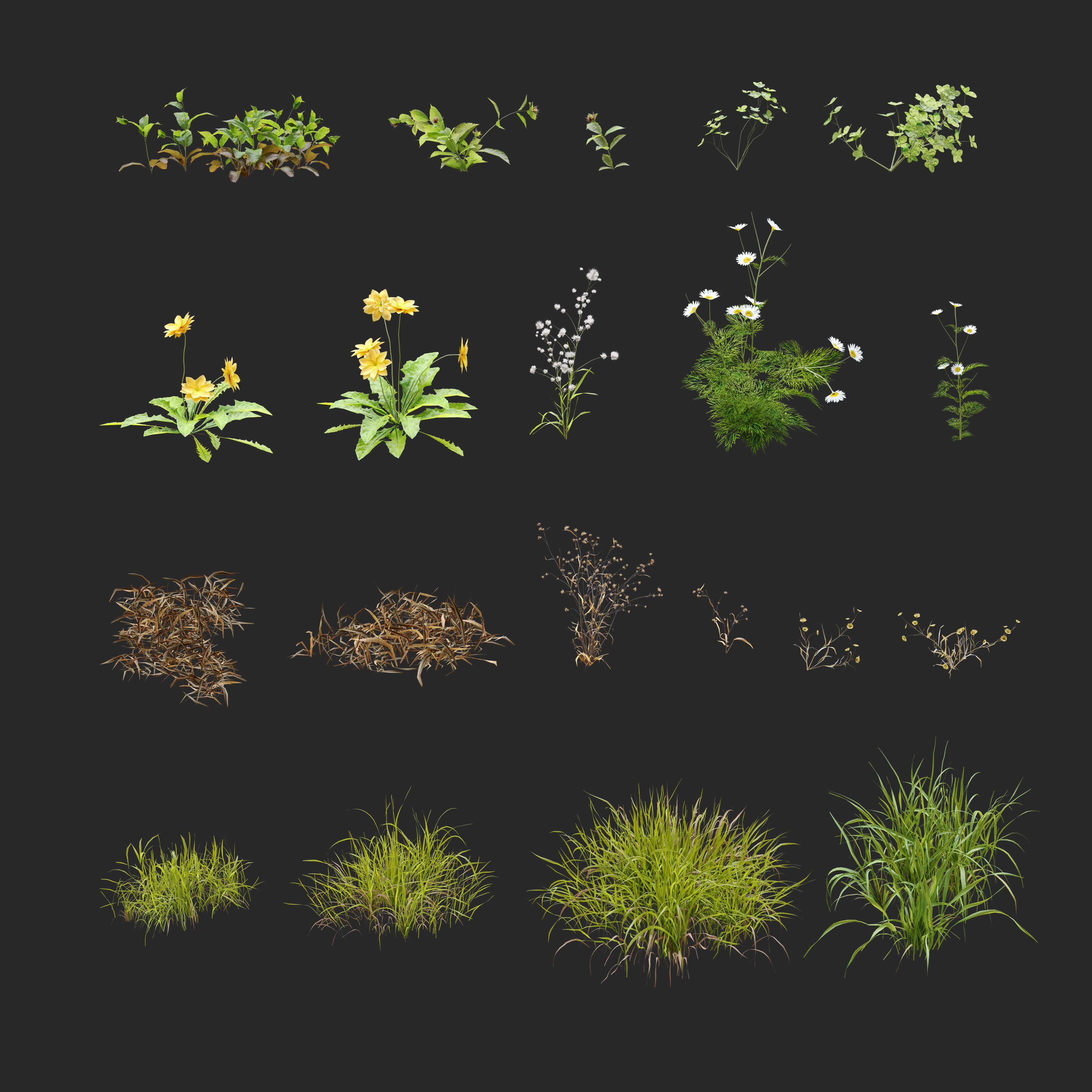 Meadow 3 dandelion in grass 3D model_5