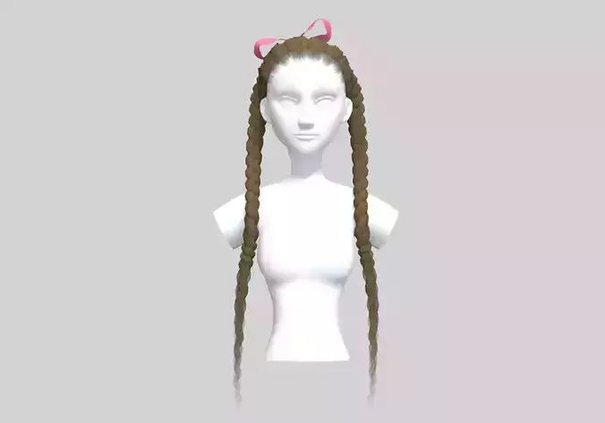 Two Braids Hairstyle 