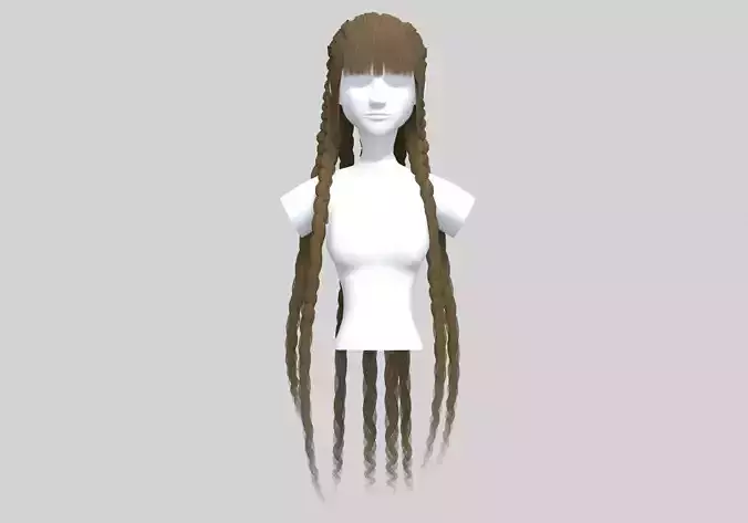 Stylized Braids Hairstyle 