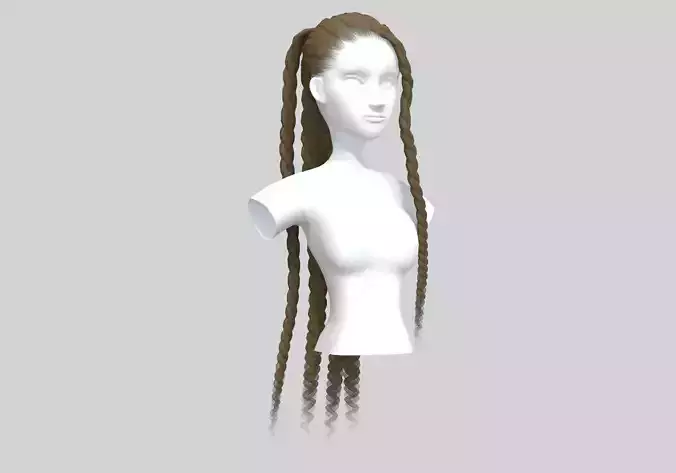 Ponytails Braids Hairstyle 