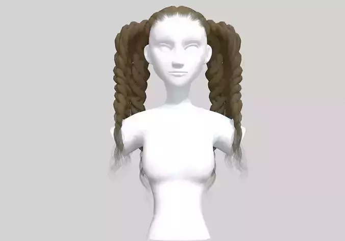 Pigtails Braids Hairstyle 
