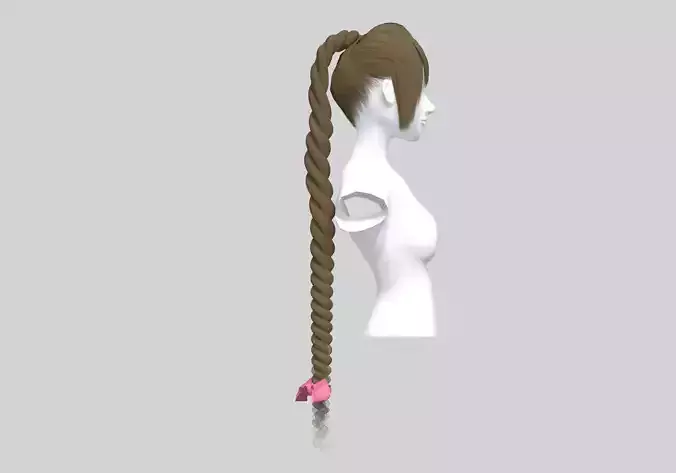 Pigtail Female Hairstyle 