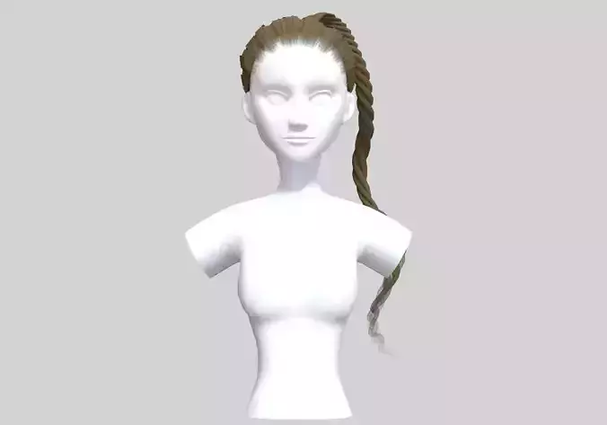 Pigtail Braid Hairstyle 