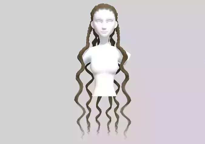 Long Braids Hair 