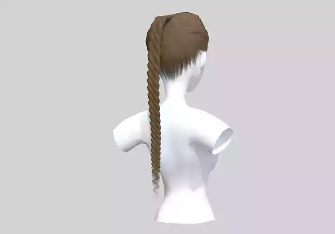 Long Braid Hairstyle  3D model