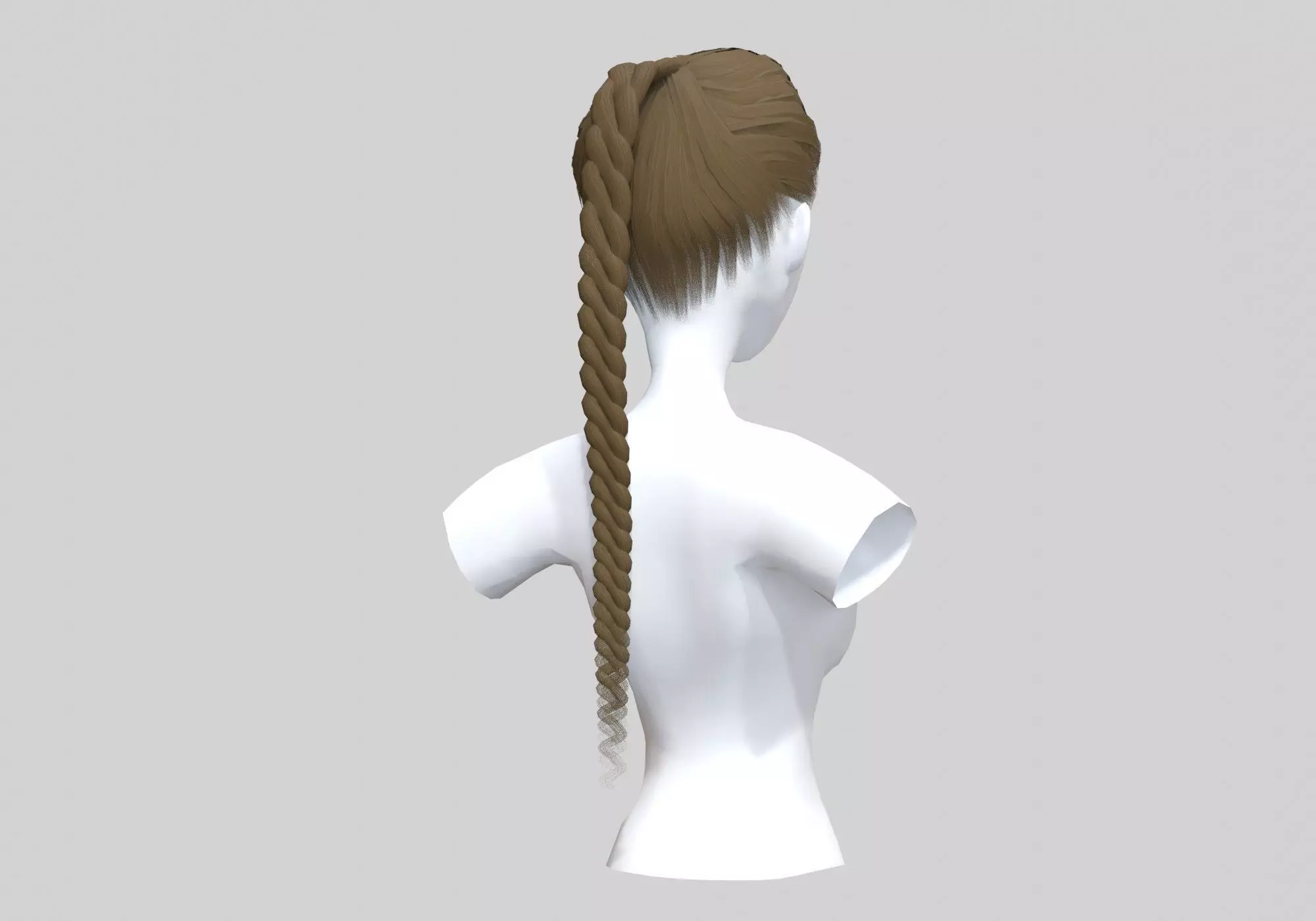 Long Braid Hairstyle 3D model_0