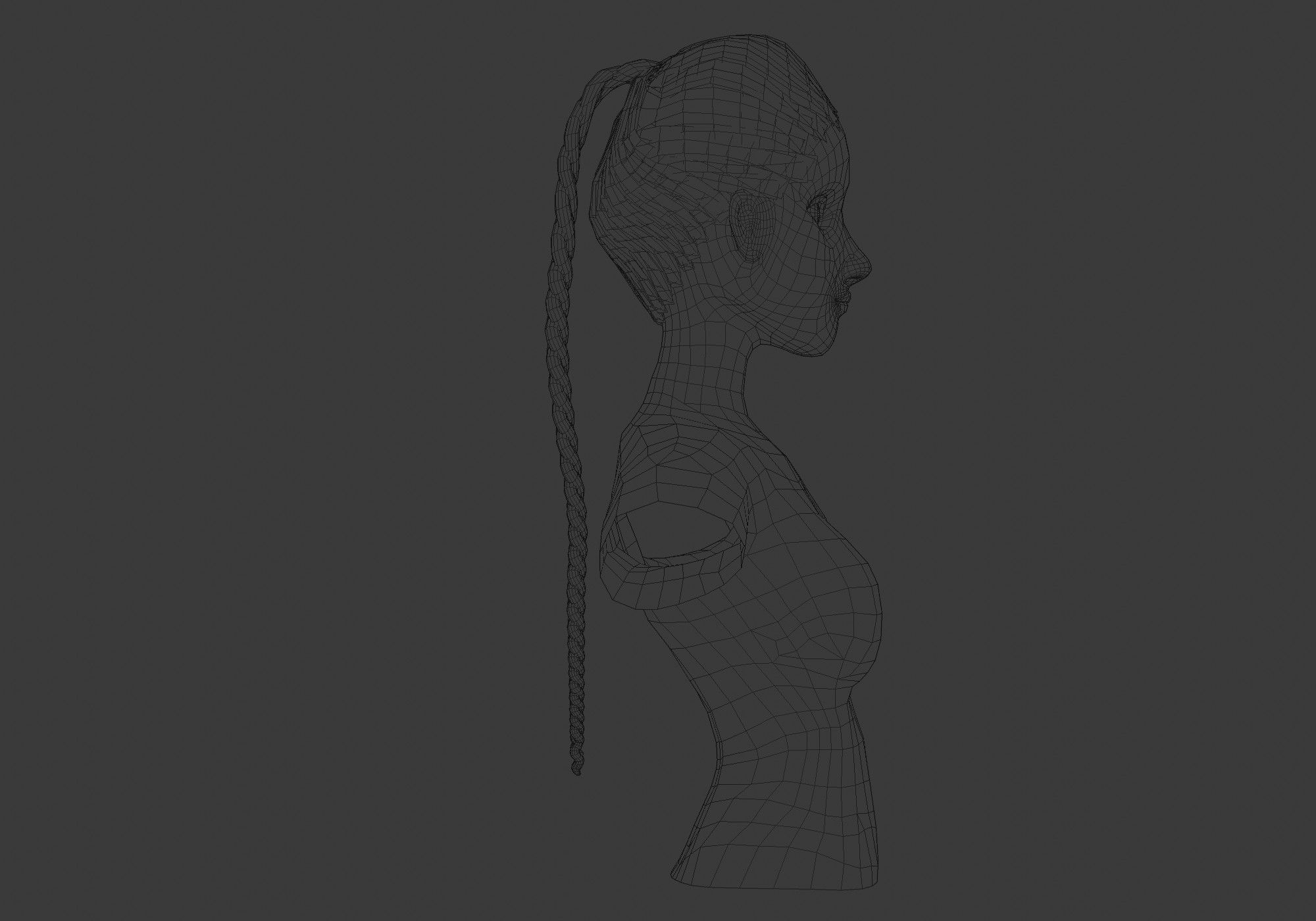 Long Braid Hairstyle 3D model_7