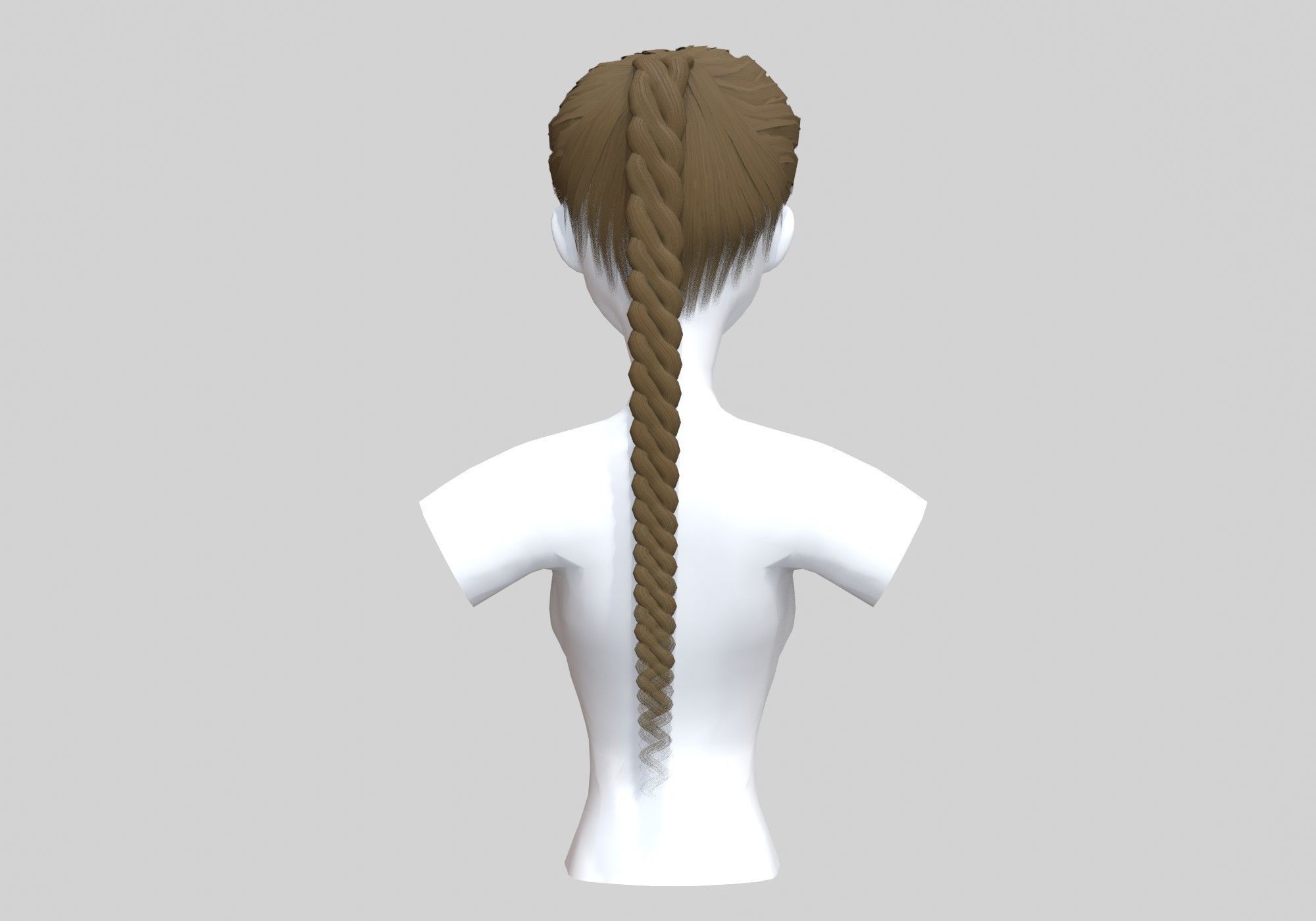 Long Braid Hairstyle 3D model_4
