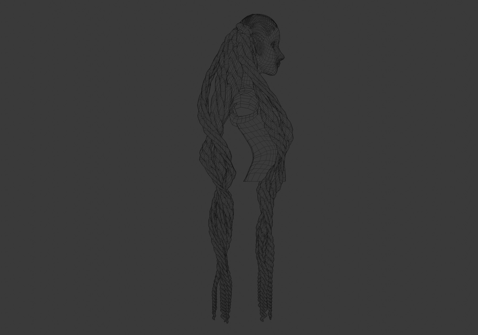 Female Braids Hair 3D model_7
