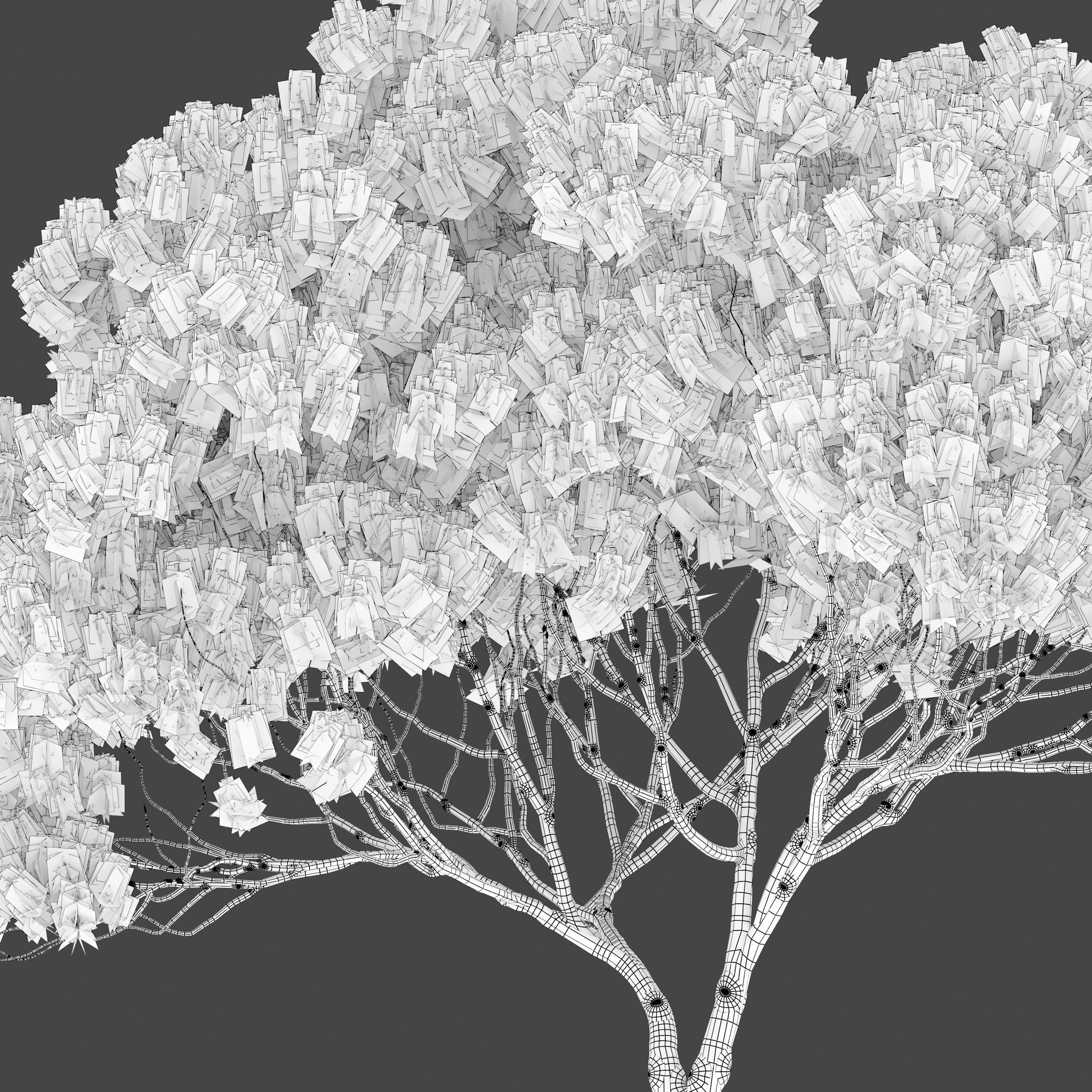 Stone pine 04  3D model_7